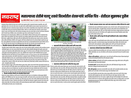 मसाल्याच्या शेतीने पालटू शकते विदर्भातील शेतकऱ्यांचे आर्थिक चित्र