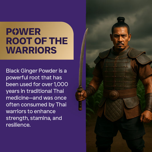 Powerful root used by thai warriors