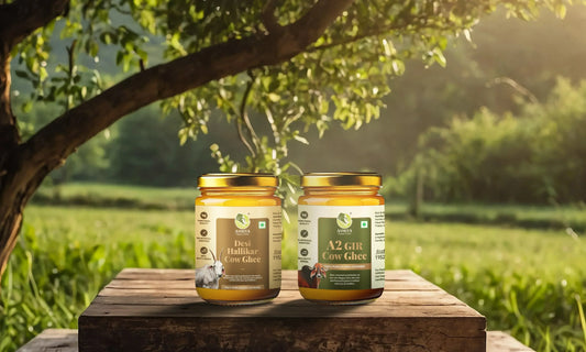 cow ghee vs buffalo ghee