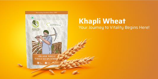 Khapli Emmer Wheat Benefits - A Healthy Story!