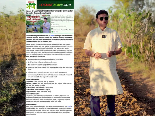 Spices Crop  दुष्काळी पारंपारिक पिकांना फाटा देत मसाला शेतीतून विदर्भातील शेतकऱ्याने घडवली क्रांती