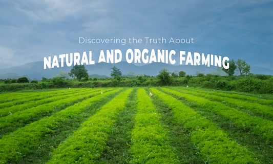 Explore the Difference Between Natural and Organic Farming