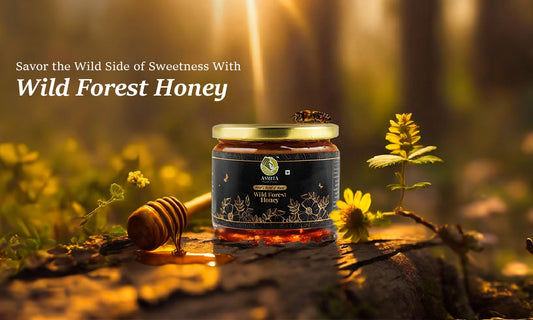 5 Reasons Why Wild Forest Honey Reigns Over Regular Honey