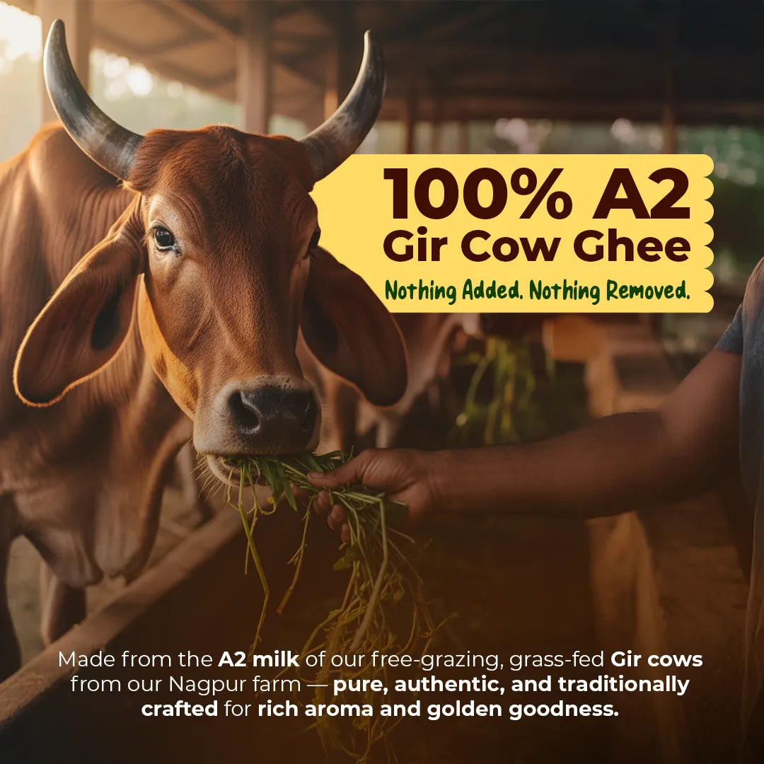 100% Pure Ghee made from grass-fed Gir cow milk