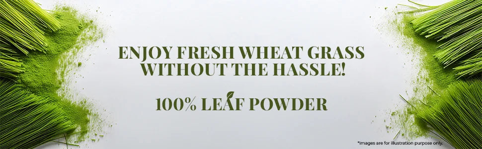 Organic Wheat Grass Powder - 100 gm a plus banner