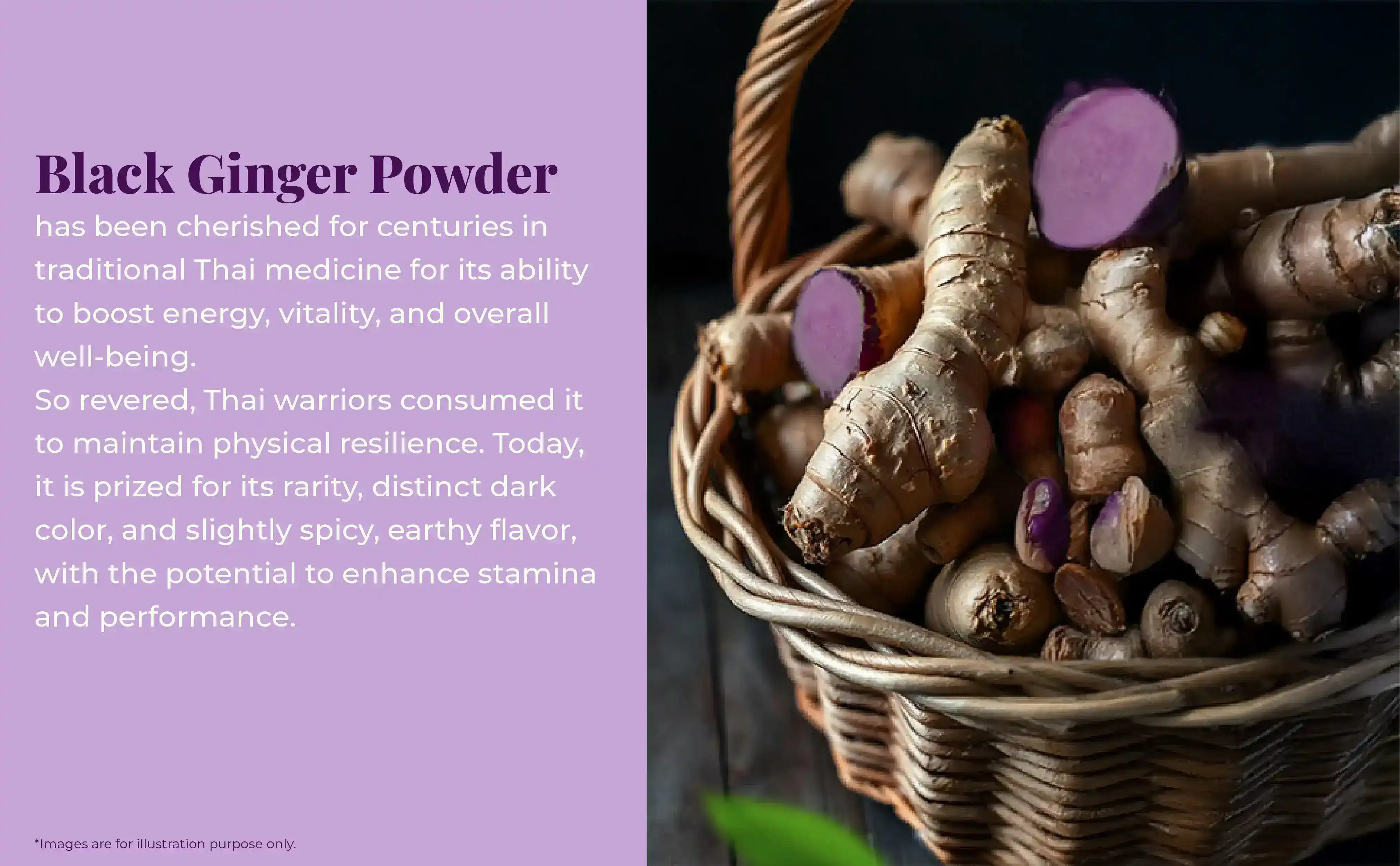 organic black ginger powder