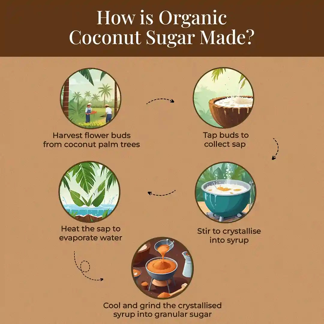 A step-by-step infographic illustrating the process of making organic coconut sugar, from harvesting to crystallizing.