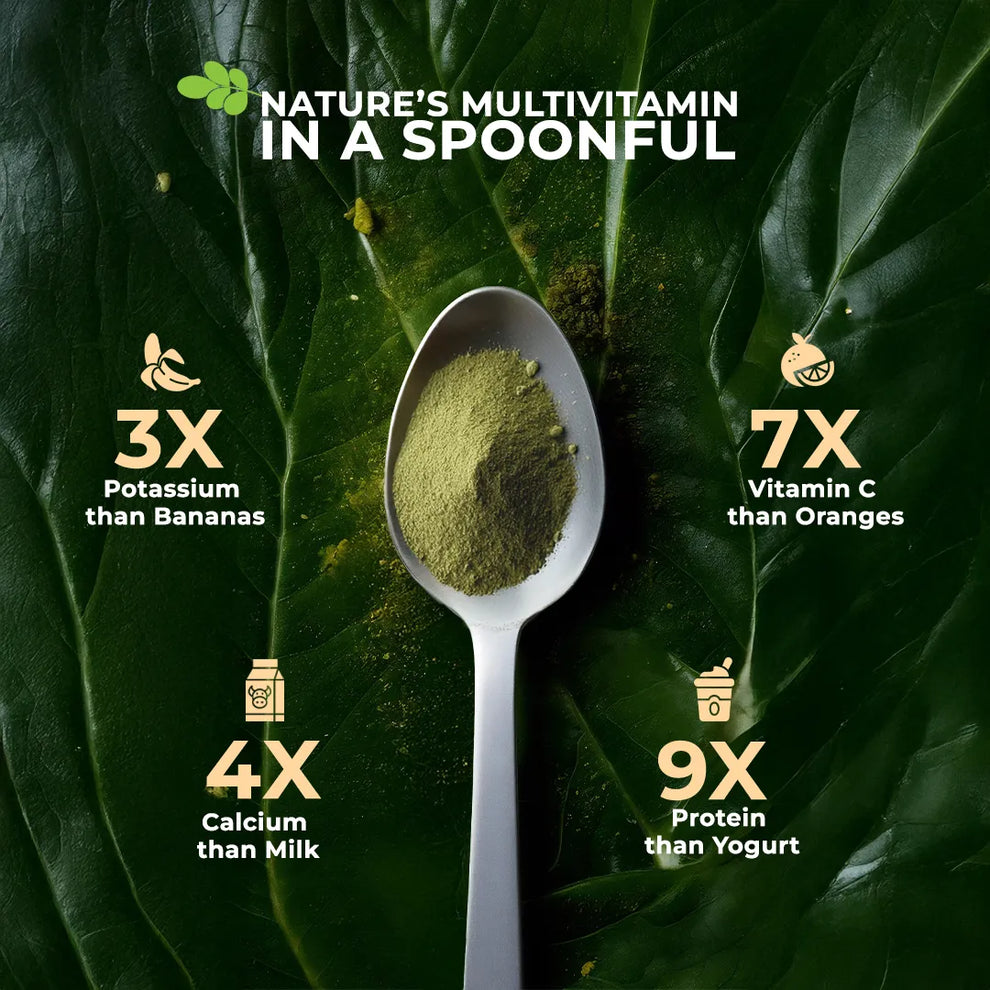Spoon of green moringa powder