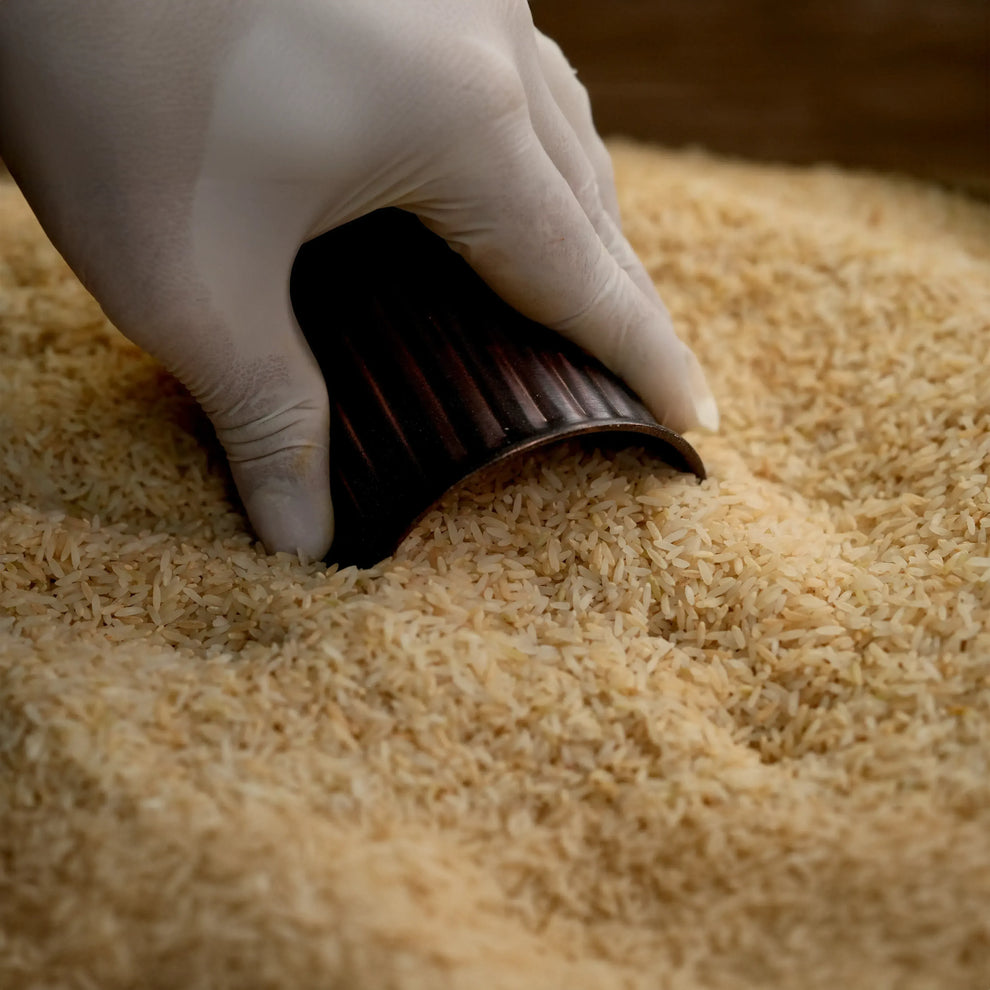 Nagpur Kolam Brown Rice