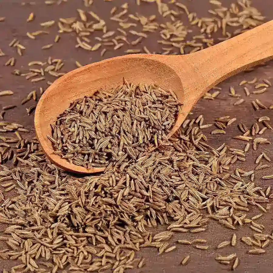 cumin or jeera seed