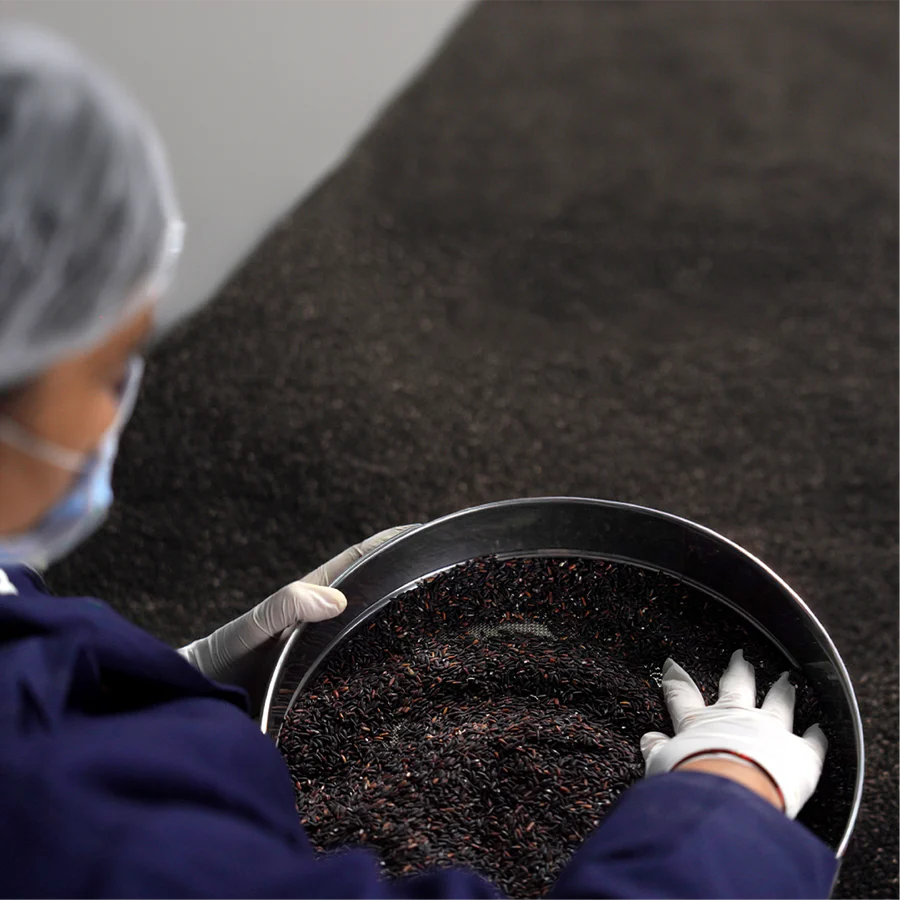 unpolished black rice