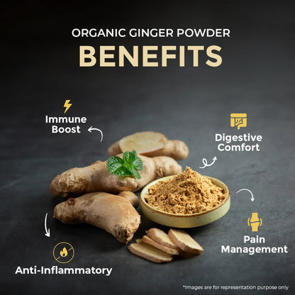 Organic Ginger Powder - 100 gm