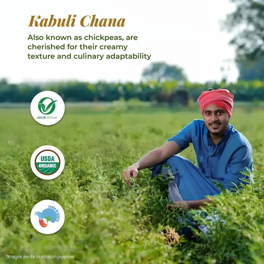 USDA certified Kabuli Chana