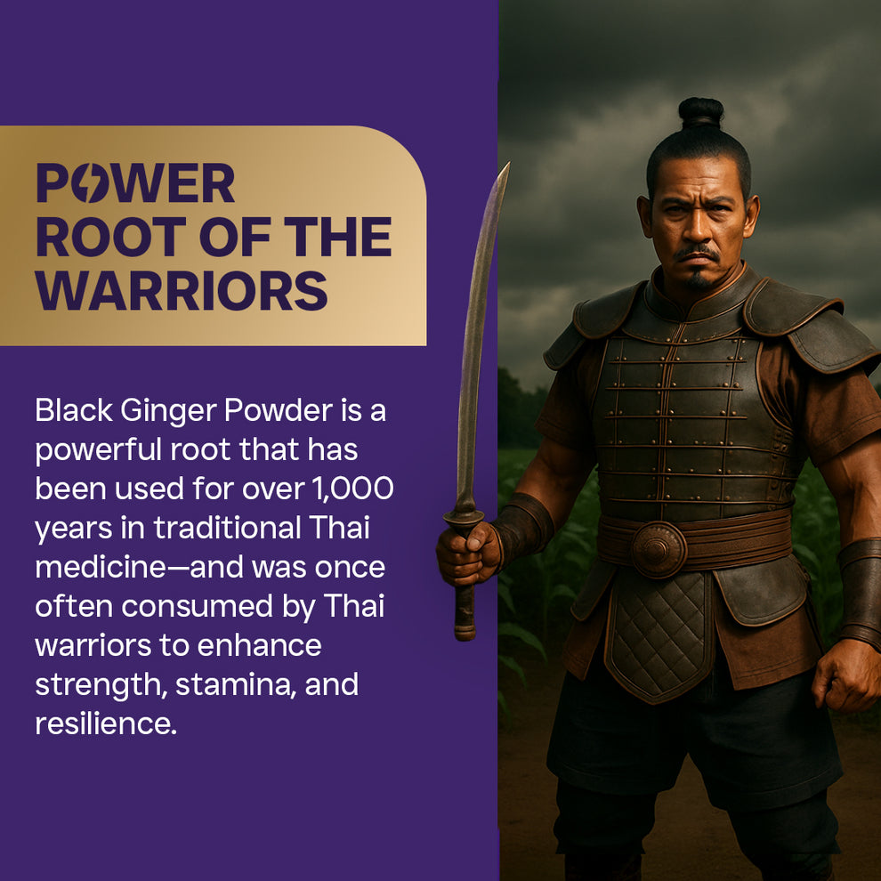 Powerful root used by thai warriors
