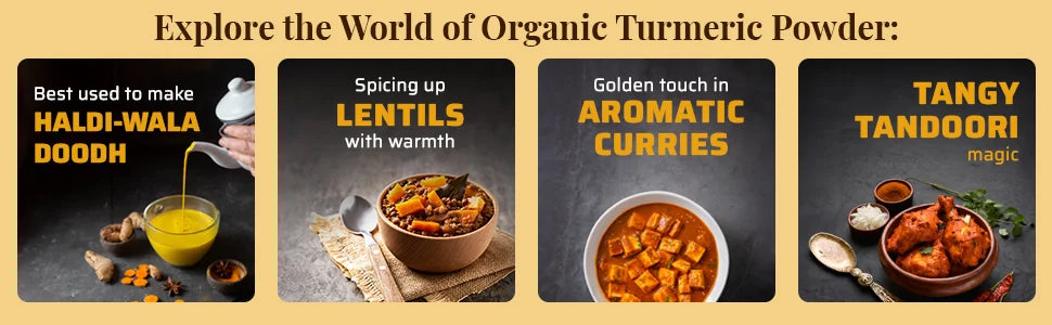 Explore the uses of Organic Turmeric Powder: Haldi-wala doodh, lentils, aromatic curries, and tandoori dishes.