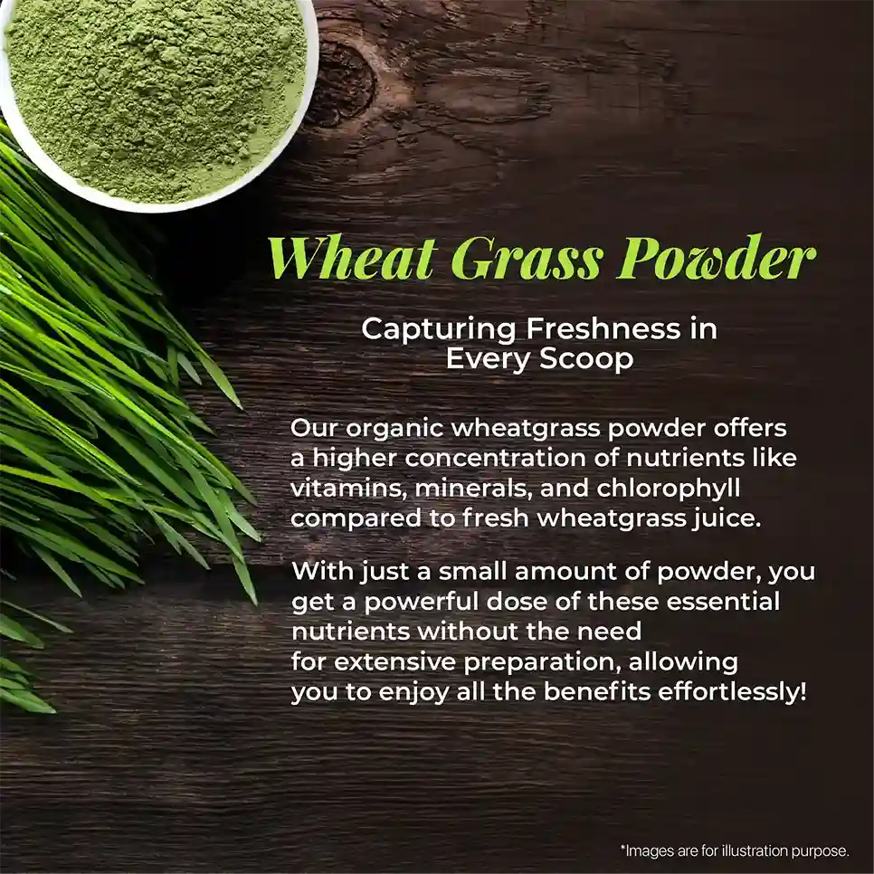 Fresh wheatgrass and its powdered form displayed on a wooden table, accompanied by content highlighting the rich nutrients of wheatgrass and the convenience of consuming it in powdered form.