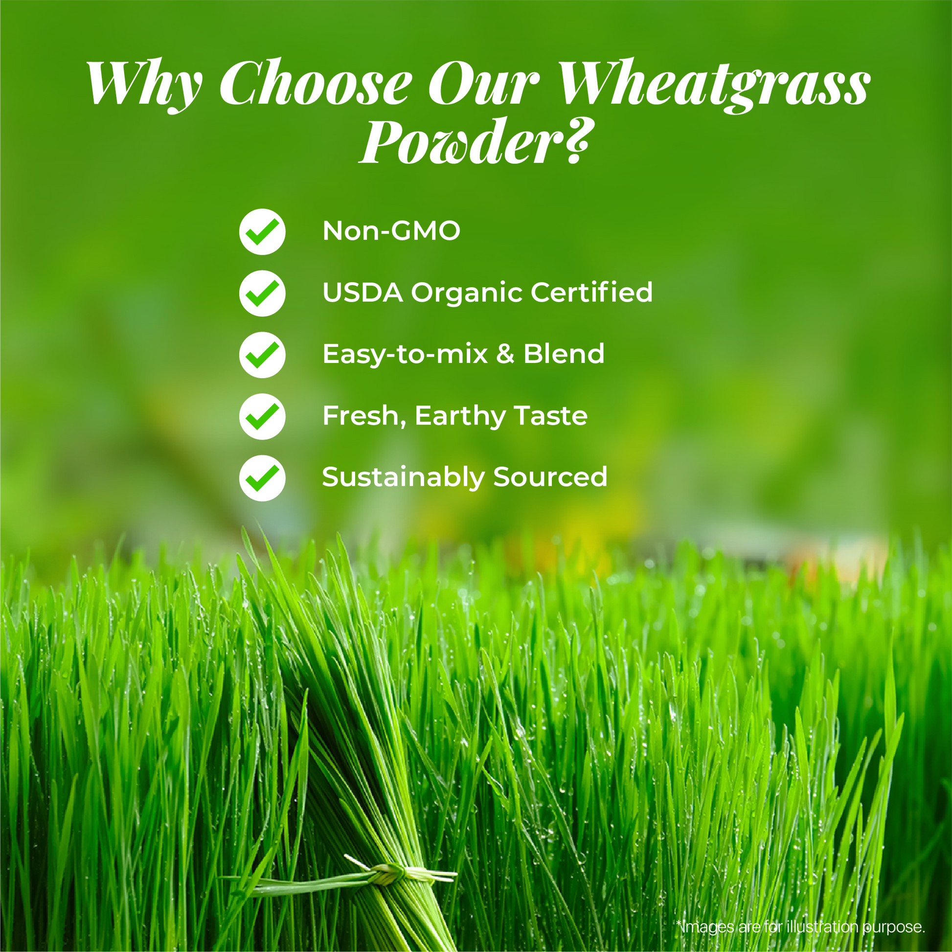 why organic wheatgrass powder