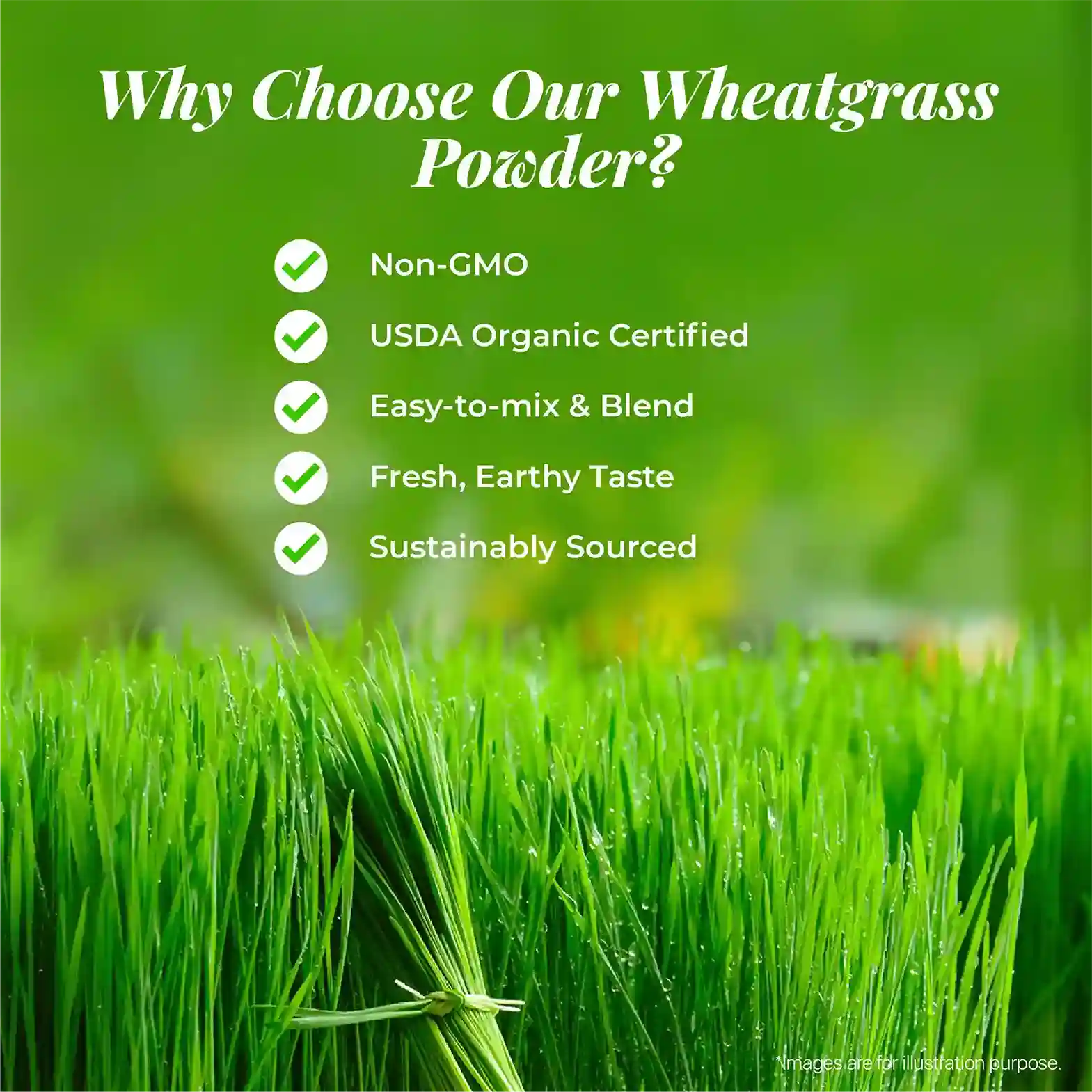  Features and benefits of the product with a fresh green wheatgrass background.